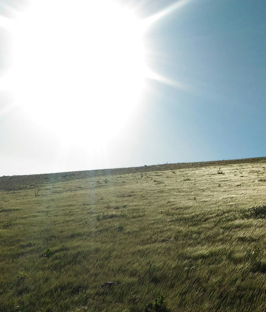 sun-field-3-tinified